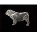 Engelsk Bulldogg Hängsmycke nr n17262