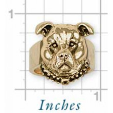 American Staffordshire Terrier Ring No. PT07-R