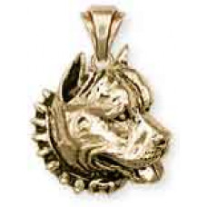 Pitbullterrier Hänge nr PT09-P