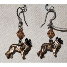 Tervueren Stående Örhängen nr e09285