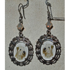 Irish Soft Coated Wheaten Terrier Kamé Örhängen nr e12099