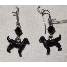 Flatcoated Retriever Örhängen nr e16230