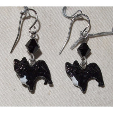 Chihuahua Långhårig Örhängen nr e18124