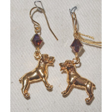 Rotttweiler Örhängen nr e19040