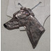 Greyhound Huvud handmålat Hänge nr n13075