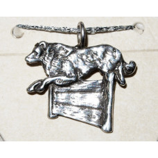 Border Collie Agility Hänge nr n16476